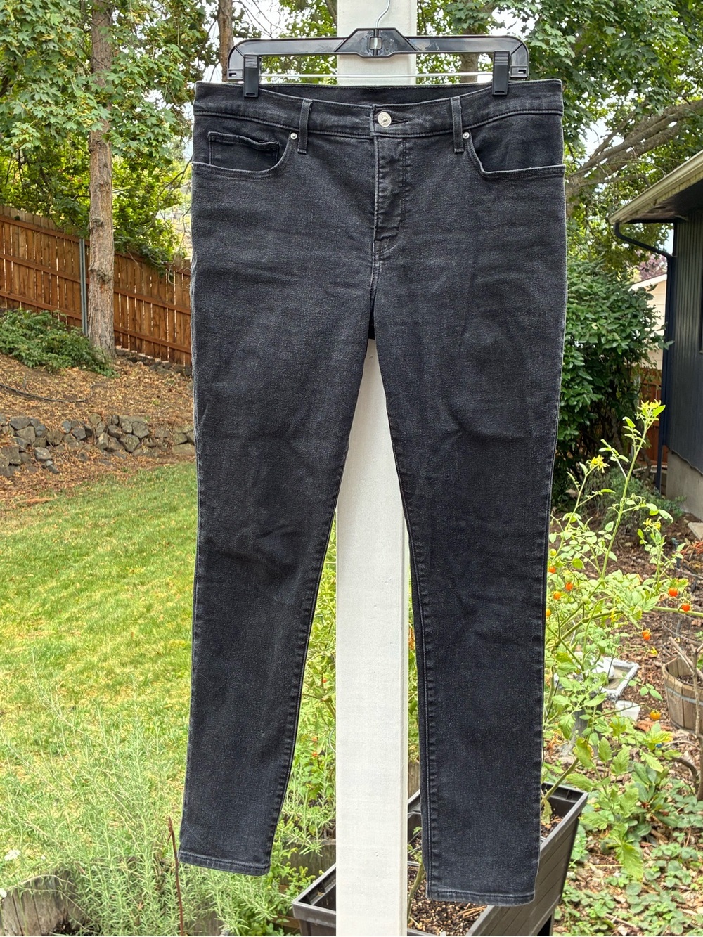 Levi's Black Jeans, Women’s Size 14
